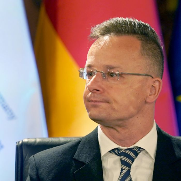 Ungarn-Außenminister in Sorge - 