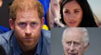 In den Royals-News gaben sich Prinz Harry, Meghan Markle und König Charles III. dieser Tage die Klinke in die Hand.