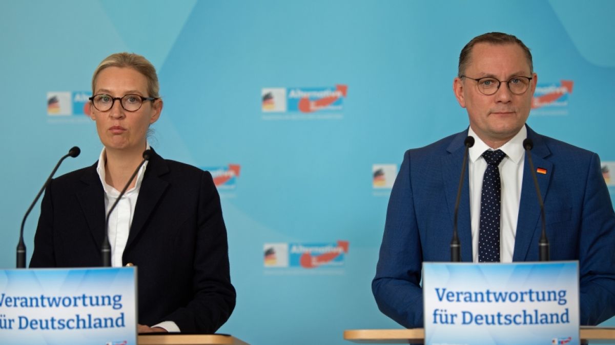 Die AfD stürzt in einer neuen Insa-Umfrage weiter ab. (Foto)