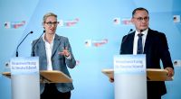 Alice Weidel, Bundessprecherin der AfD, spricht während des AfD-Landesparteitags zu Parteimitgliedern.