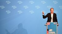 Alice Weidel, Bundessprecherin der AfD, spricht während des AfD-Landesparteitags zu Parteimitgliedern.