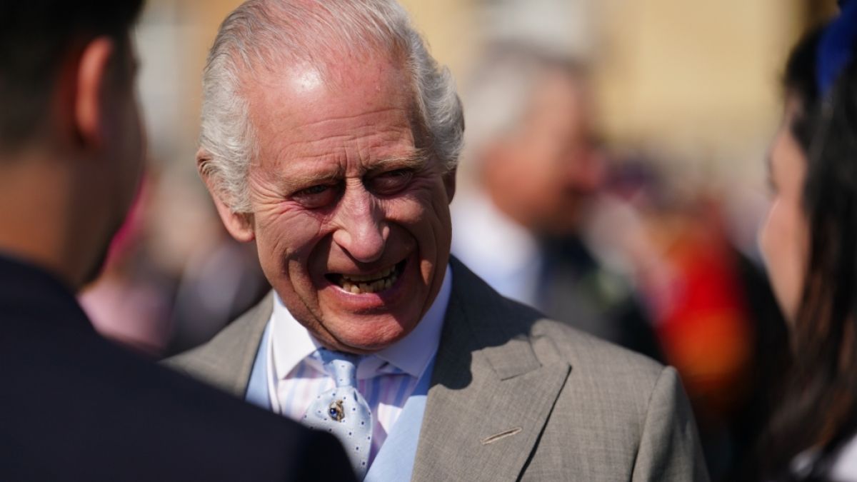 König Charles III. hat sein erstes offizielles Portrait enthüllt. König Charles III. hat sein erstes offizielles Portrait enthüllt. (Foto)