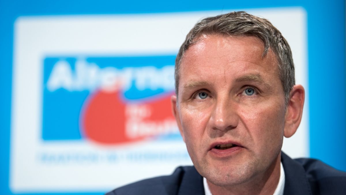 AfD-Politiker in Thüringen wollen Björn Höcke aus der Partei werfen. AfD-Politiker in Thüringen wollen Björn Höcke aus der Partei werfen. (Foto)