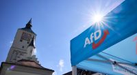 Die AfD schmiert in Umfragen zur Europawahl immer weiter ab. Es drohen finanzielle Einbußen.