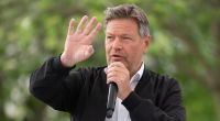 Vizekanzler Robert Habeck polarisiert mit seinen Aussagen zu Israel.
