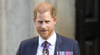 Hat Prinz Harry dreist gelogen?