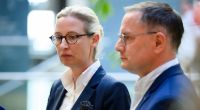 Die AfD hat ein Viertel der Stimmen verloren.