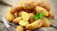 Bei Penny und Rewe verkaufte Speisefrühkartoffeln werden im Mai 2024 aus Gründen des vorsorglichen Verbraucherschutzes zurückgerufen (Symbolfoto).