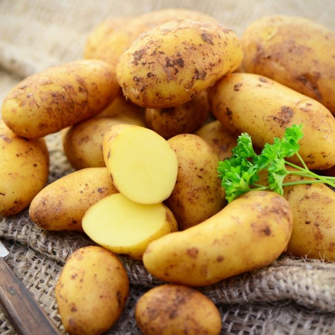 Penny, Edeka, Rewe und Netto rufen Speisefrühkartoffeln zurück