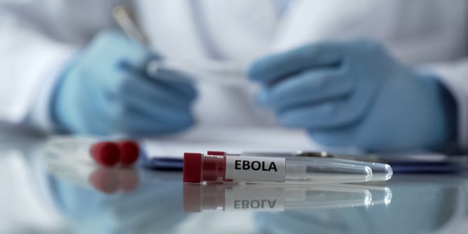 Ebola-ähnlicher Erreger