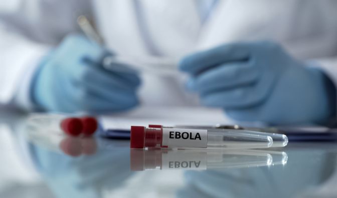Ebola-ähnliches Virus