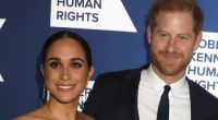Mit ihrer neuen Doku über Prinz Harry und Meghan Markle für das ZDF soll Filmemacherin Ulrike Grunewald bei den Exil-Royals schon vorab für Panik sorgen.