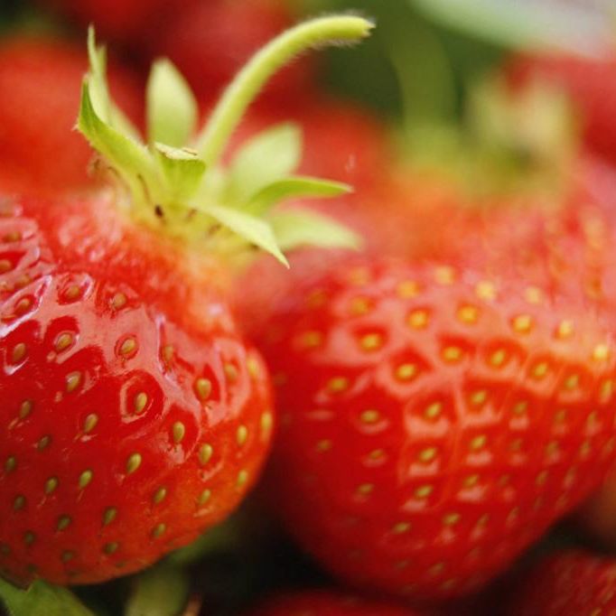 Bei Erdbeeren ist die richtige Reinigung wichtig (Symbolfoto)