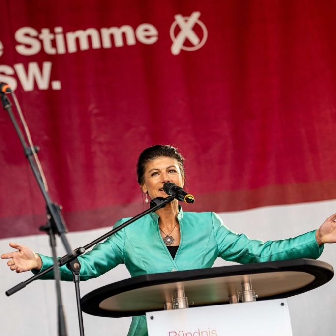 BSW im Umfrage-Hoch - doch auch die AfD bleibt stark