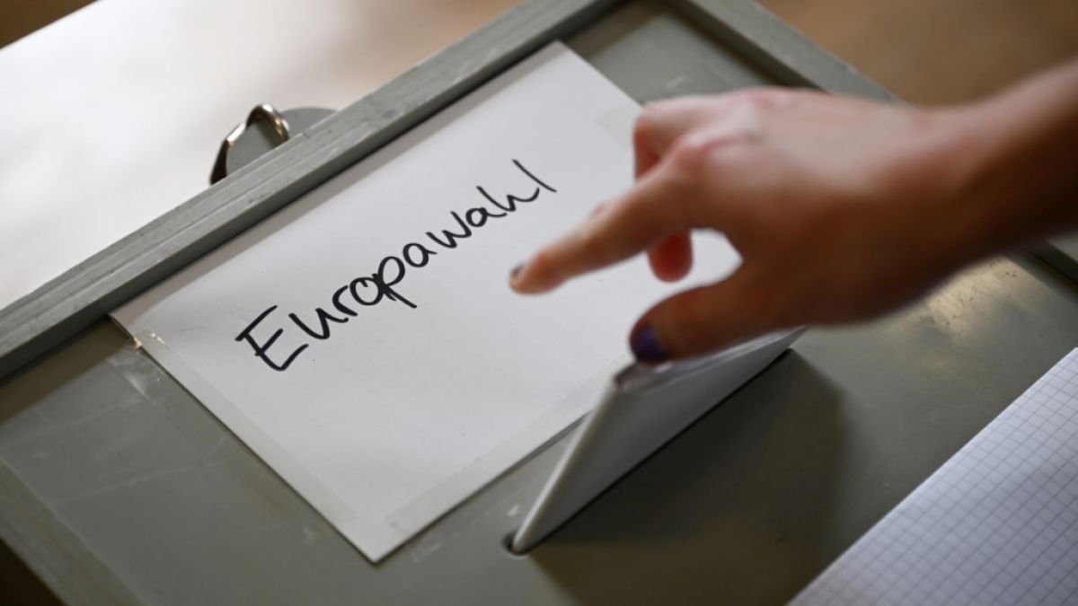 Das Ergebnis der Europawahl 2024 lässt sich nur in Deutschland rechtsextreme Parteien jubeln. (Foto)