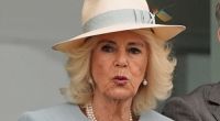 Ihrem Ehemann König Charles III. gönnte Königin Camilla eine kleine Pause und zeigte sich bei einer Veranstaltung ihres Herzensprojektes mit einem anderen Begleiter.