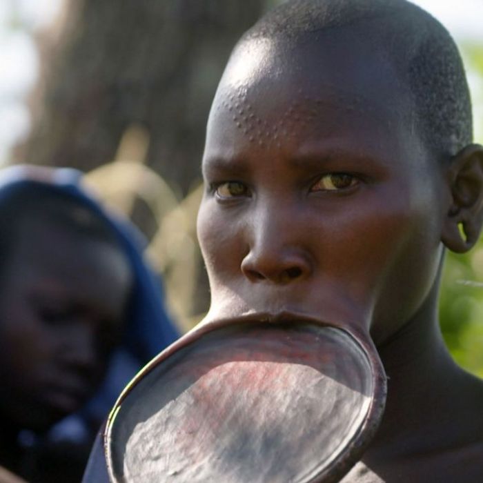 Wiederholung der Gesellschaft im TV und online