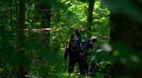 Die Leiche der Neunjährigen wurde in einem Waldstück bei Döbeln gefunden.