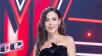 Lena Meyer-Landrut begeistert ihre Fans immer wieder mit ihren Looks.