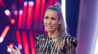 Nicht jedem Fan gefielen Annemarie Carpendales Looks.