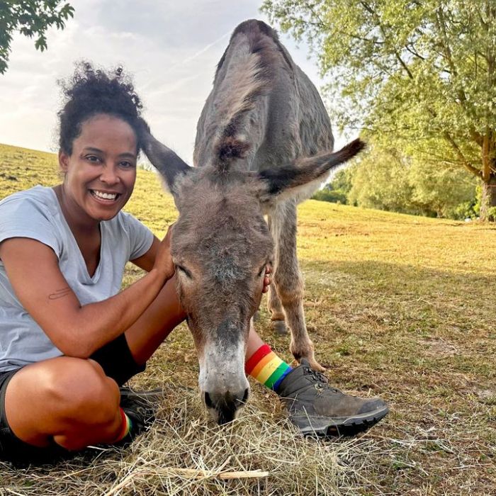 Wiederholung von Folge 25, Staffel 1 online und im TV