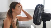 Steigende Temperaturen können sich nachteilig auf die Gesundheit des Menschen auswirken. Mit Ventilatoren und mobilen Klimageräten können Sie sich und ihrer Wohnung Abkühlung verschaffen.