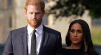 Zu ihren Lebzeiten werden Prinz Harry und Meghan Markle vermutlich nie König in Königin - ein walisischer Maler hat die Sussexes nun trotzdem 
