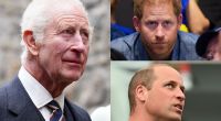 König Charles III., Prinz Harry und Prinz William fanden sich in dieser Woche allesamt in den Royals-News wieder.