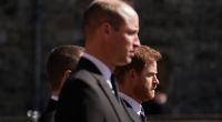 Einer Adelsexpertin zufolge soll Prinz Harry bereits von langer Hand die ultimative Rache an seinem Bruder Prinz William planen.