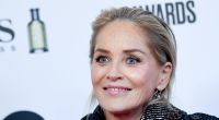 Sharon Stone ist 66: Mit einem neuen Bikini-Foto bei Instagram beweist sie, wie fantastisch sie immer noch aussieht.