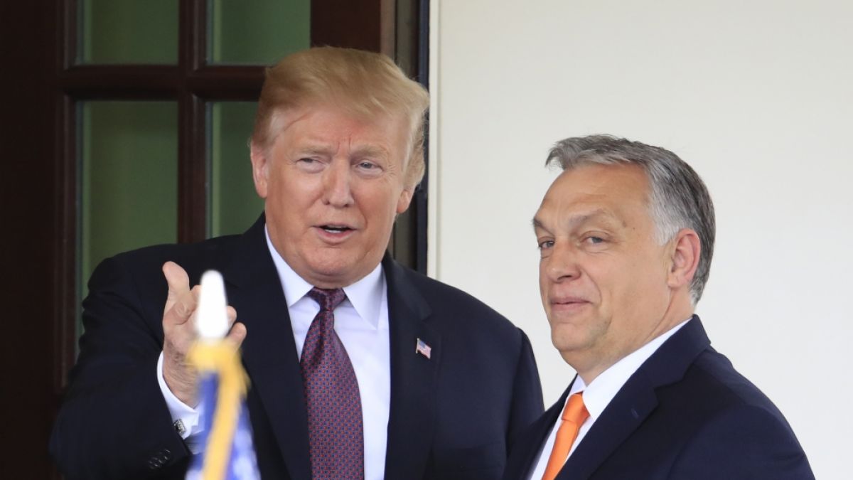 Trump und Orban im Jahr 2019. (Foto)