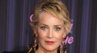 Hollywood-Legende Sharon Stone heizt ihren Fans im gewagten Unterwäsche-Look ein.