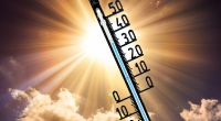 Eine kleine Hitzewelle verwöhnt Deutschland mit bestem Sommerwetter.