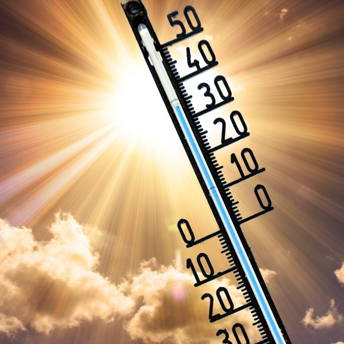 Heißester Tag des Jahres möglich - So warm wird es nun in Deutschland