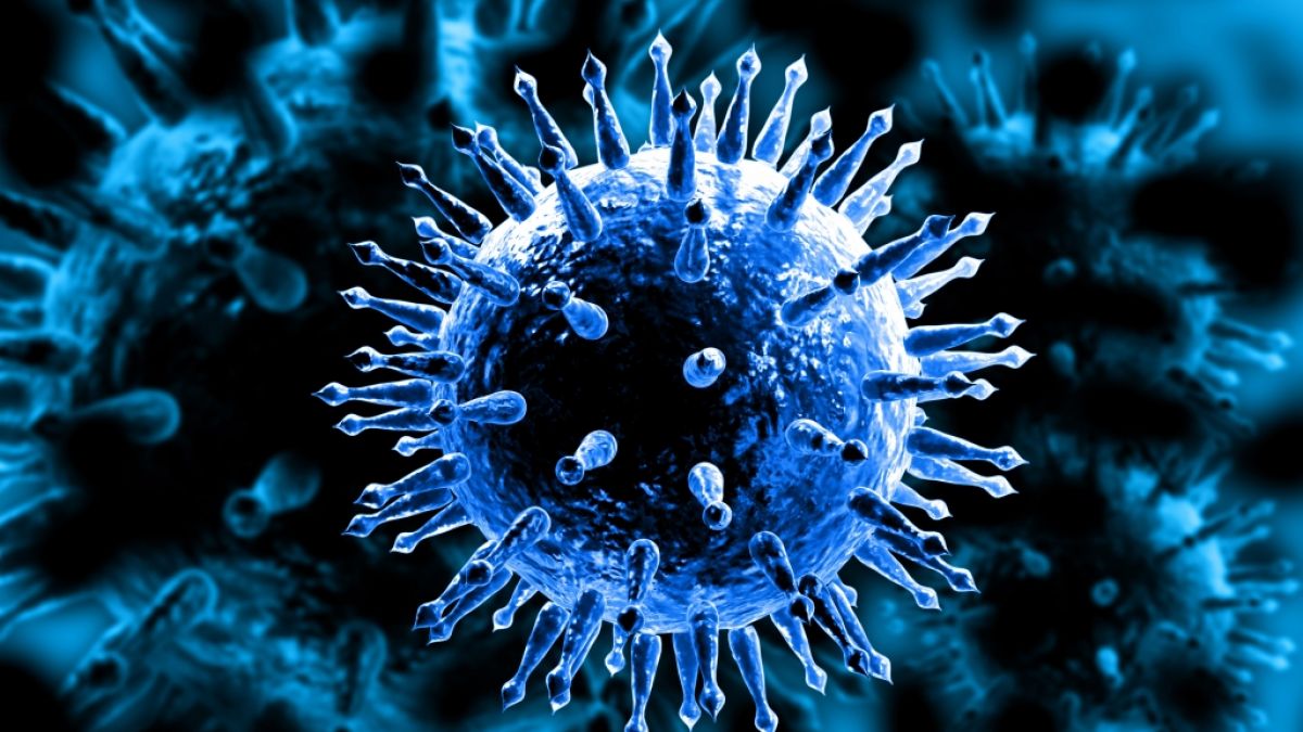 New study on bird flu: New vaccine could protect against infection for life