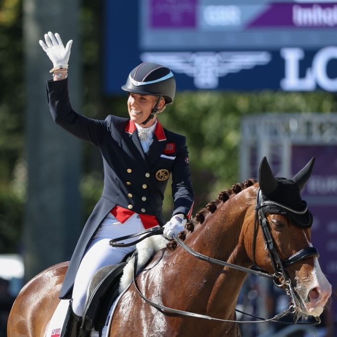 Tierquälerei-Skandal im Reitsport überschattet Olympische Spiele