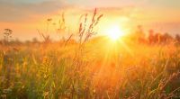Wie könnte das Wetter im August werden?