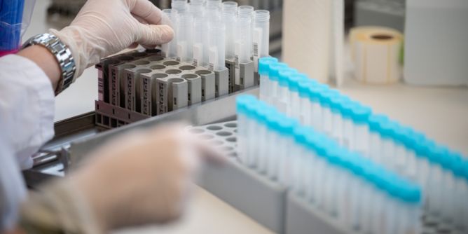 Tödliche Virus-Erreger auf dem Vormarsch