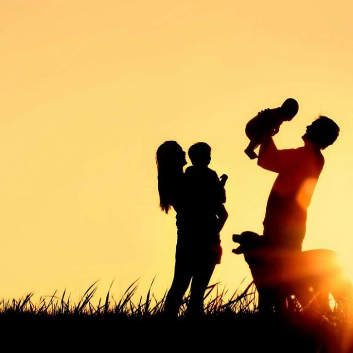 Wiederholung und Mediathek zur Sendung