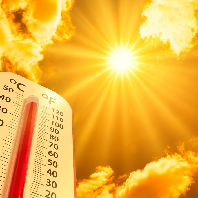 Nach Hitzewelle mit bis zu 36 Grad droht totaler Sommer-Absturz