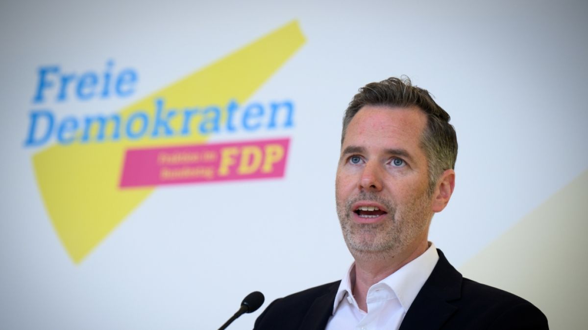 FDP-Fraktionschef Christian Dürr fordert Bürgergeld-Kürzung. (Foto)