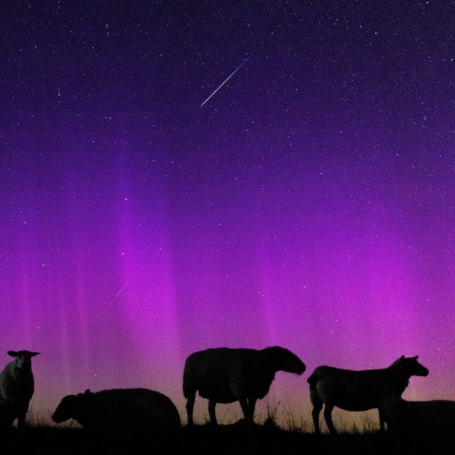 Nächste Plasmawolke kracht auf Erde - Hier können Sie heute Polarlichter sehen