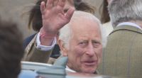 Ein halbes Jahr ist ins Land gezogen, seitdem König Charles III. seine Krebserkrankung öffentlich machte.