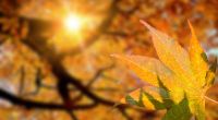 Können wir uns auf sommerliches Wetter im September freuen?