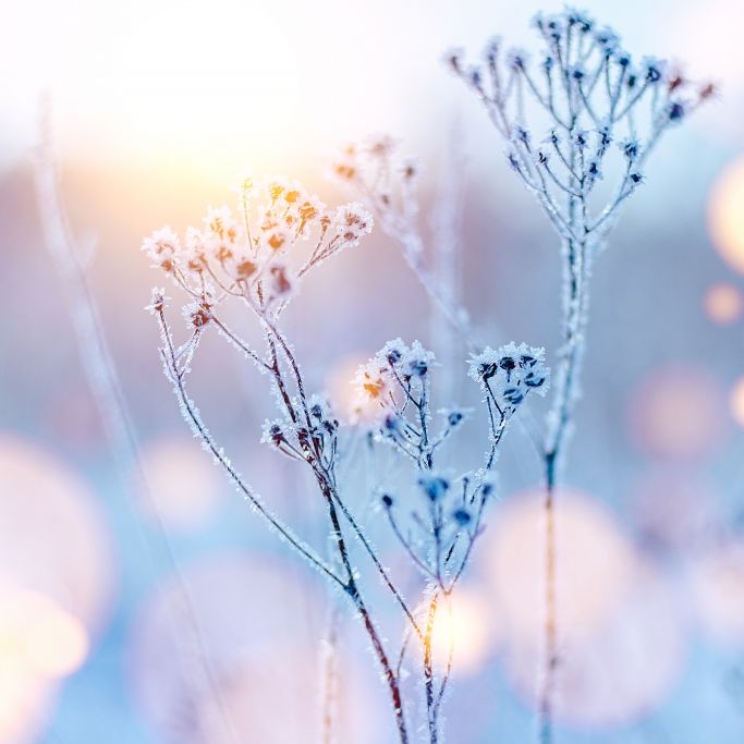 Meteorologe gibt erste Winter-Prognose ab