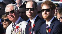 Kommt es doch noch zur lang ersehnten Versöhnung zwischen Prinz Harry, Prinz William und König Charles?