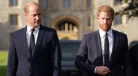 Ein Wink des Schicksals könnte die seit Jahren zerstrittenen Prinzen William und Harry schon bald wieder zusammenführen.