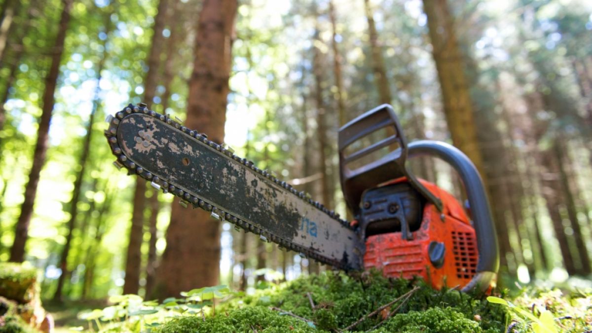 Der Fund einer geköpften Leiche neben einer Motorsäge sorgt in Südtirol für Entsetzen (Symbolfoto). (Foto)