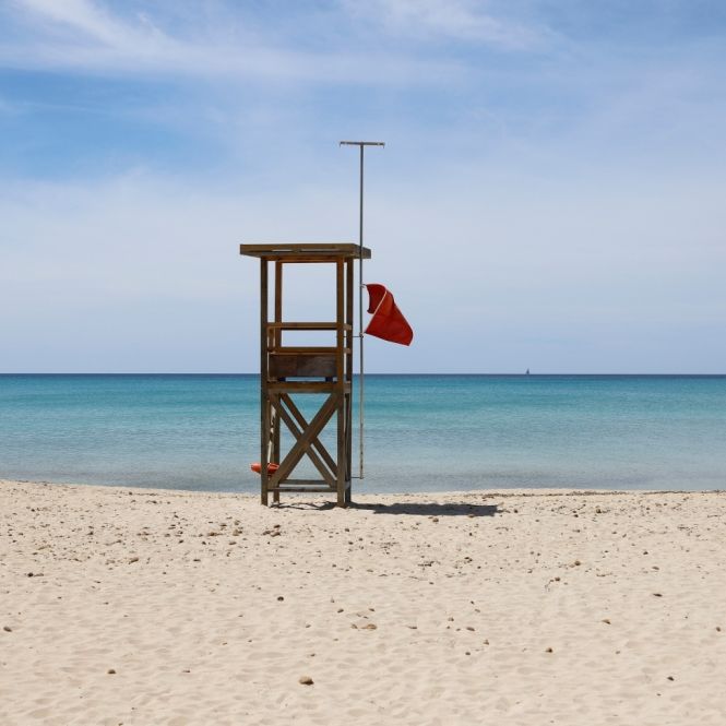 Übelkeit und Schmerzen drohen - Urlauber von giftigem Meerestier bedroht