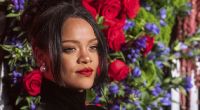 Rihanna bringt ihre Fans im Wildkatzen-Look zum Schwitzen.